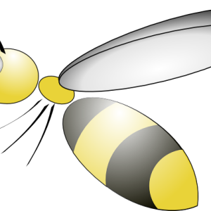 Wasp PNG