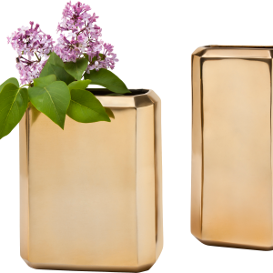 Vase PNG