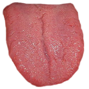 Tongue PNG