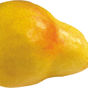 Pear PNG image