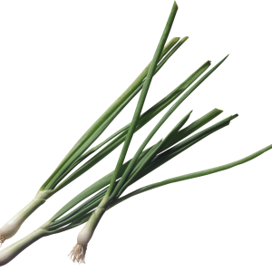 Leek PNG