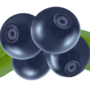 Blueberries PNG