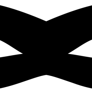 Carnival mask PNG