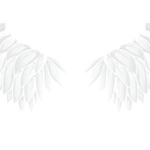 Wings PNG
