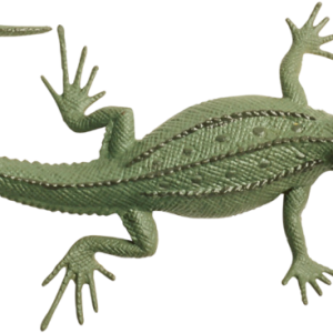 Lizard PNG