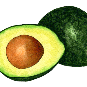 round cutted avocado PNG