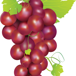Grape PNG image