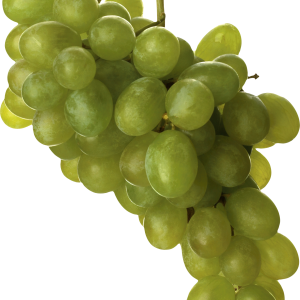 Green grape PNG image
