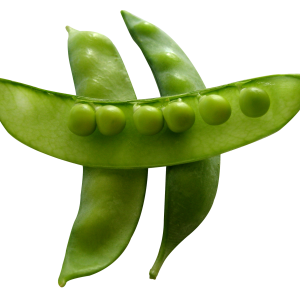 Pea PNG
