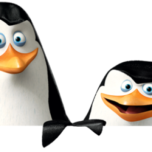 Madagascar penguins PNG