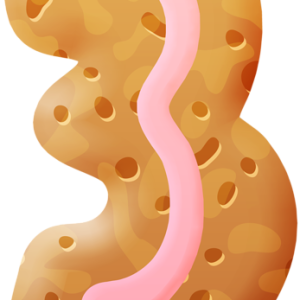 Biscuit PNG