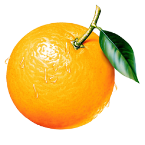 Orange with leaf PNG