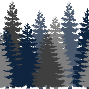 Forest PNG