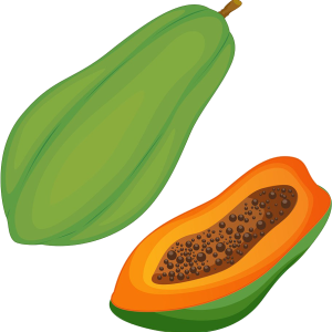 Papaya PNG