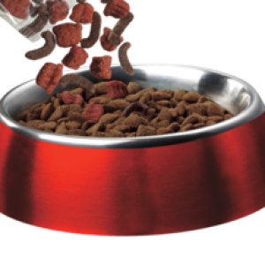 Dog food PNG