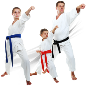 Karate PNG
