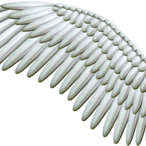 Wings PNG