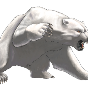 Polar white bear PNG