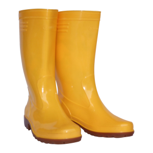 Rubber boots PNG picture
