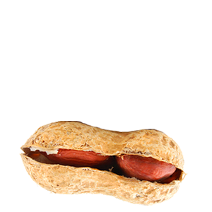 Peanut PNG