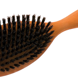 Hairbrush PNG