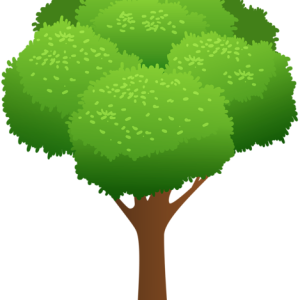 tree PNG