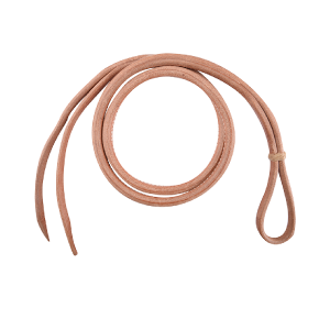 Whip PNG