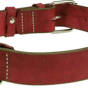 Dog collar PNG