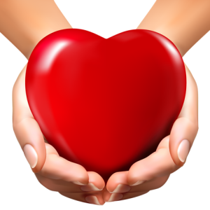 heart in hands PNG