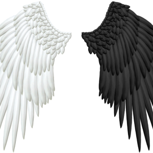 Wings PNG