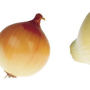 Onion PNG