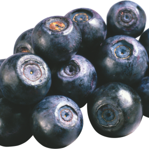 Blueberries PNG