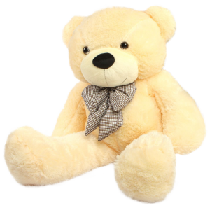 Teddy bear PNG