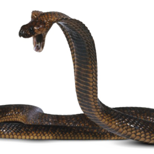 Cobra PNG