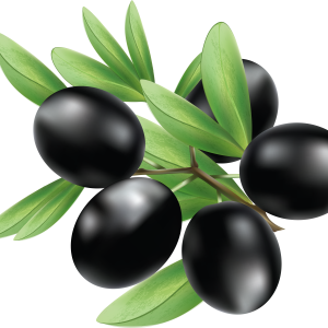 Black olives PNG