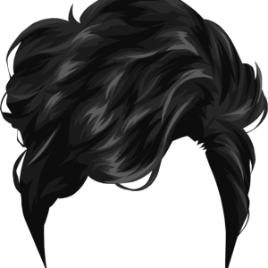Women hair PNG image