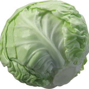Cabbage PNG image