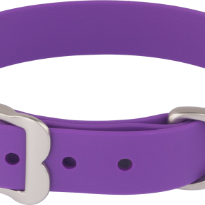 Dog collar PNG
