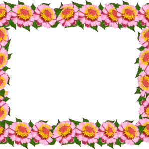 Floral frame PNG