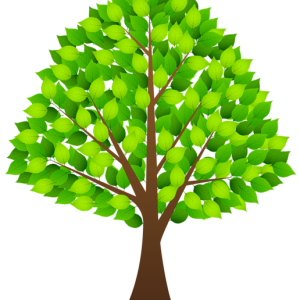 tree PNG
