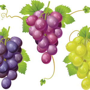 Grape PNG image