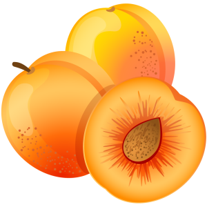 Apricots PNG