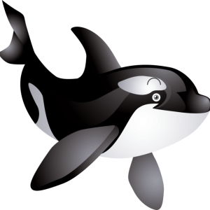 Whale PNG