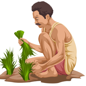 Farmer PNG