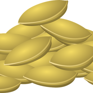Pumpkin seeds PNG