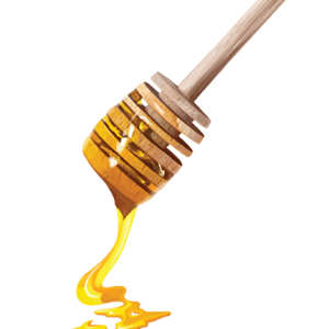 Honey PNG