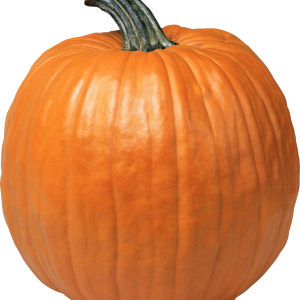 Pumpkin PNG