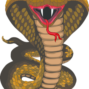 Cobra PNG