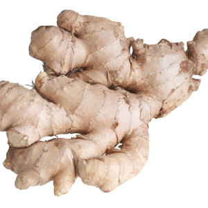Ginger PNG