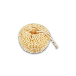Sponge bath PNG